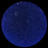 Blue Marsala Synthetic