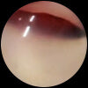 Red Agate Natural