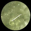Prasiolite