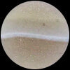 Grey Striped Agate