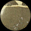 Leopardite Jasper