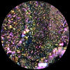 Druse Weird Metallized