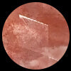 Coral Synthetic